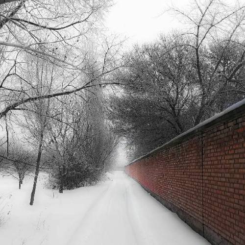 بغض یعنی پا به سن بذارم بازم نمی تونم تو ایران پا به سن بذارم